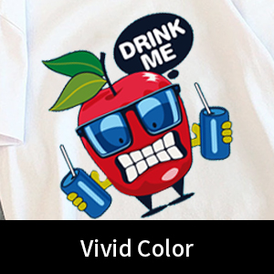 A4 / A3 DTF yazıcı filmi soğuk kabuk 75U kalınlığı PET serbest bırakma filmi yapışkan değil 2