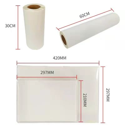 DTF Film Sıcak Peel Çift Mat 30cm*100m Anında Peel beyaz mürekkep baskı filmi
