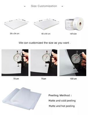 100 Mikron ekran baskı PET serbest bırakma filmi mat polyester Offset baskı için film