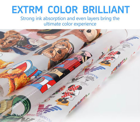 DTF mürekkep püskürtücüsü için 30CM*100M Sıcak Peel Single Double Side Roll DTF Transfer Film