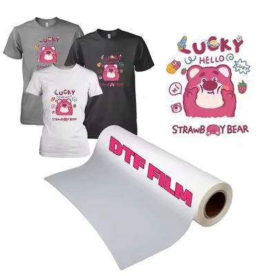 220V / 110V A3 DTF yazıcı T-shirt transfer için PET film baskı makinesi